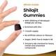 image 2 of Shilajit Gummies with Zinc & B6 Vegan Berry Flavour