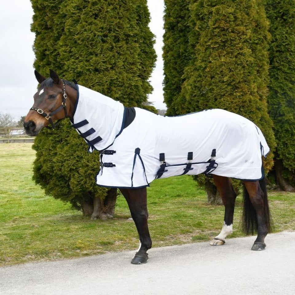 image 1 of Rhinegold Africa Combo Mesh Fly Rug White | Colour: White
Size: 6ft 6