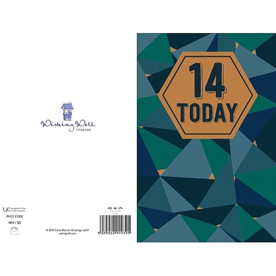 image 1 of 14th Birthday Girl Boy Gold Flitter Design 14 Today Good Quality Card