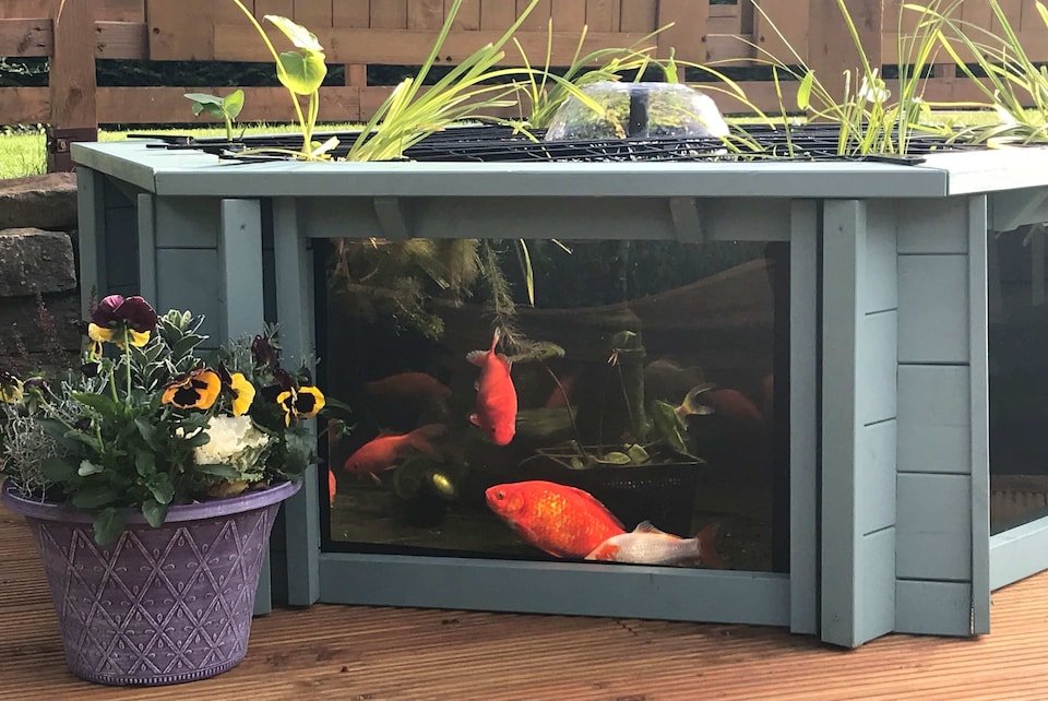 image 1 of Raised hexagon pond with large windows Lily Clear View Garden Aquarium in Seagrass Green