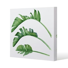 Triple Botanical (Canvas Print) 101 x 101 x 4cm
