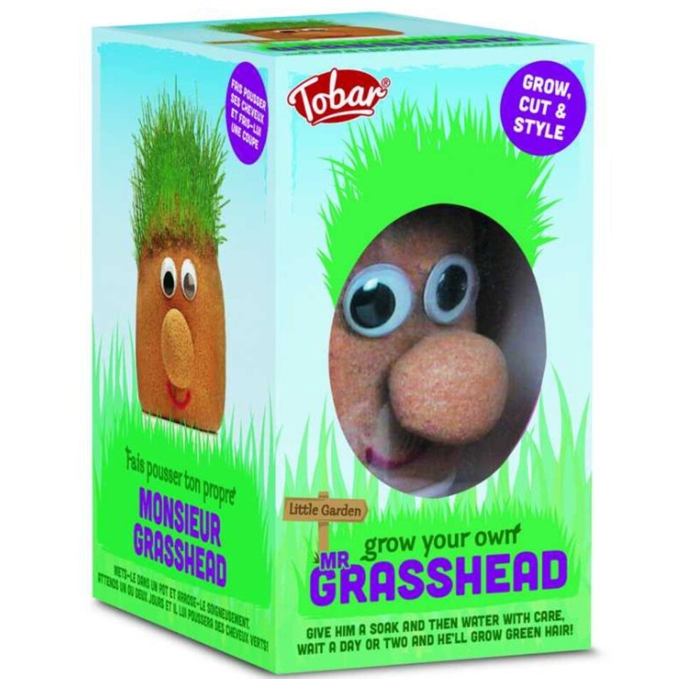 image 1 of Mr Grasshead