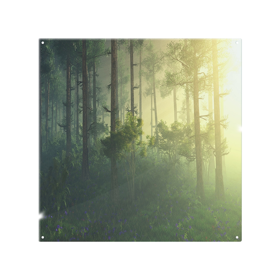 image 1 of Sun, trees in a haze of light, glowing fog among the trees Designer Splash Back | White