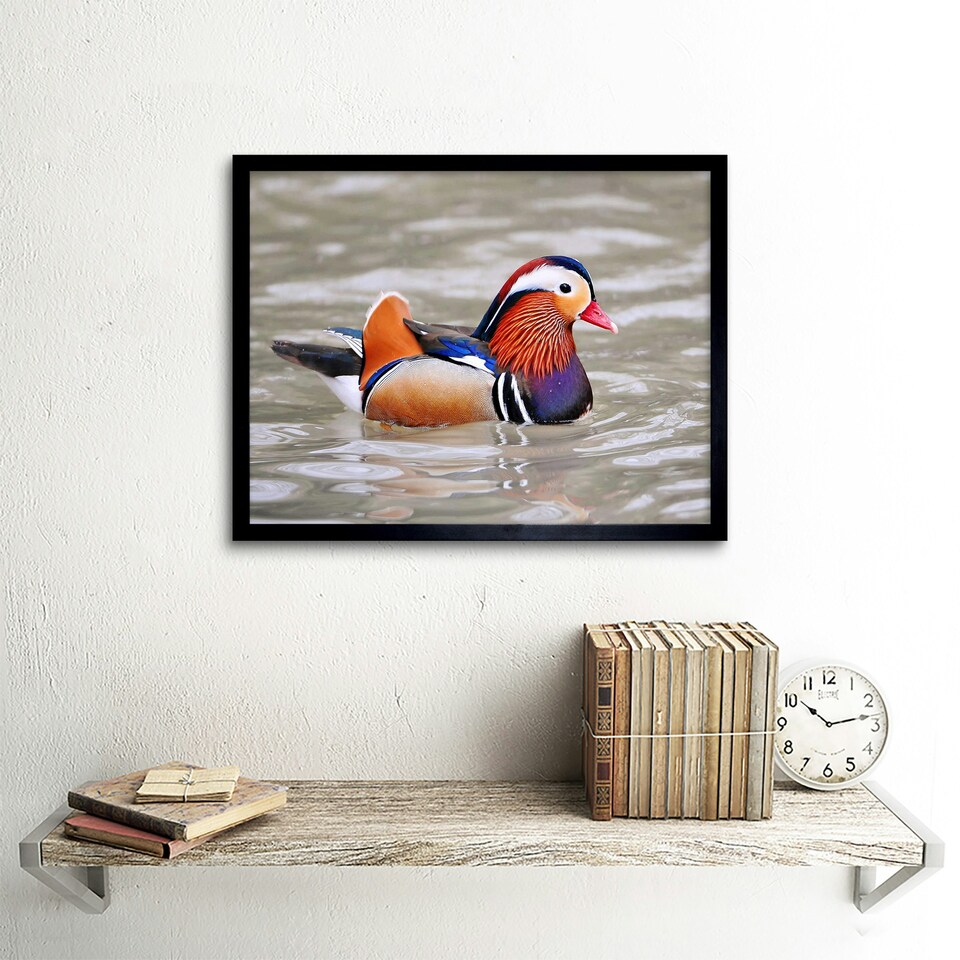 image 1 of Animal Bird Male Mandarin Duck Home Decor 12x16" Framed Wall Art Print