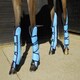 image 1 of Rhinegold Elite Full Length Travel Boots Blue | Colour: Turquoise/Navy
Size: Full