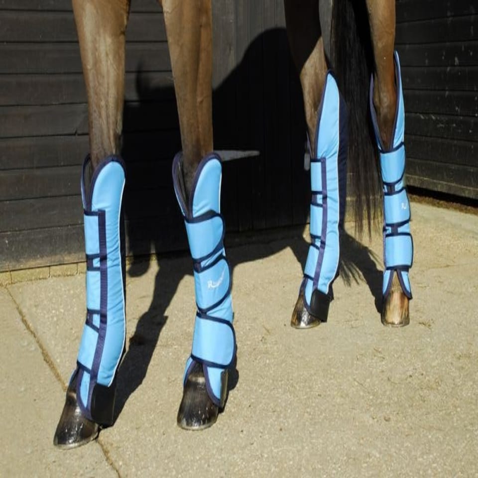 image 1 of Rhinegold Elite Full Length Travel Boots Blue | Colour: Turquoise/Navy
Size: Full