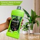 image 5 of Bronte Heritage Collection Concentrated Houseplant Food 1L Organic Seaweed-Enriched Liquid Fertiliser