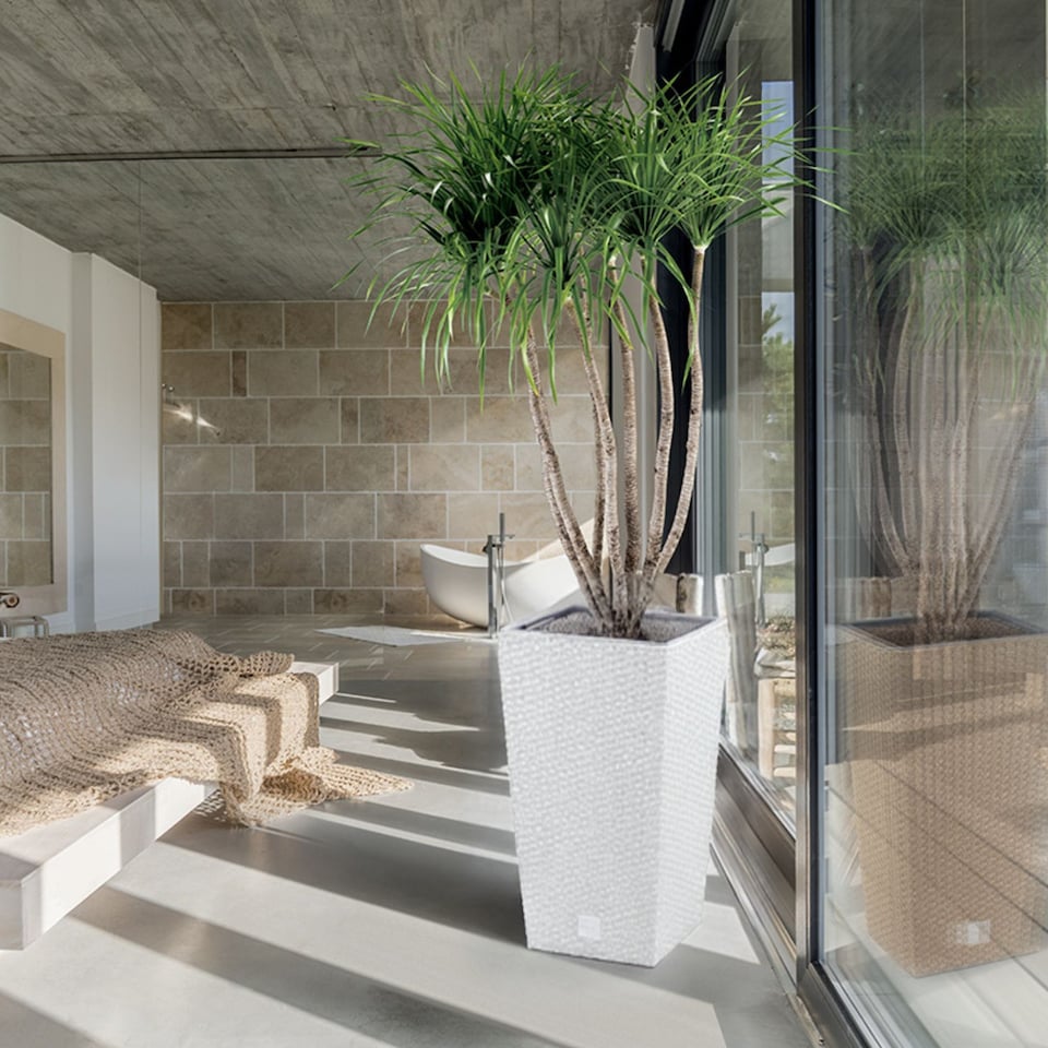 image 1 of RATO Large Square Flower Pot - 50x26x26cm | White | White & Set of 1 | 1