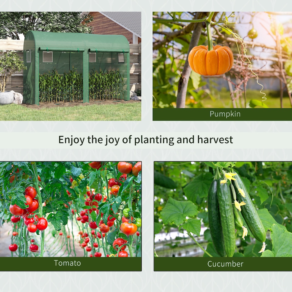 image 1 of Outsunny Garden Plant Tomato Growth Greenhouse W 2 Doors 4 Windows 3 x 1 x 2m