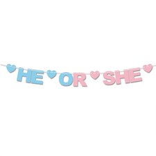He or She Gender Reveal Recyclable Card Party Bunting