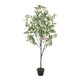 image 1 of Living and Home Artificial Frangipani Blossom Tree in Pot - 160cm