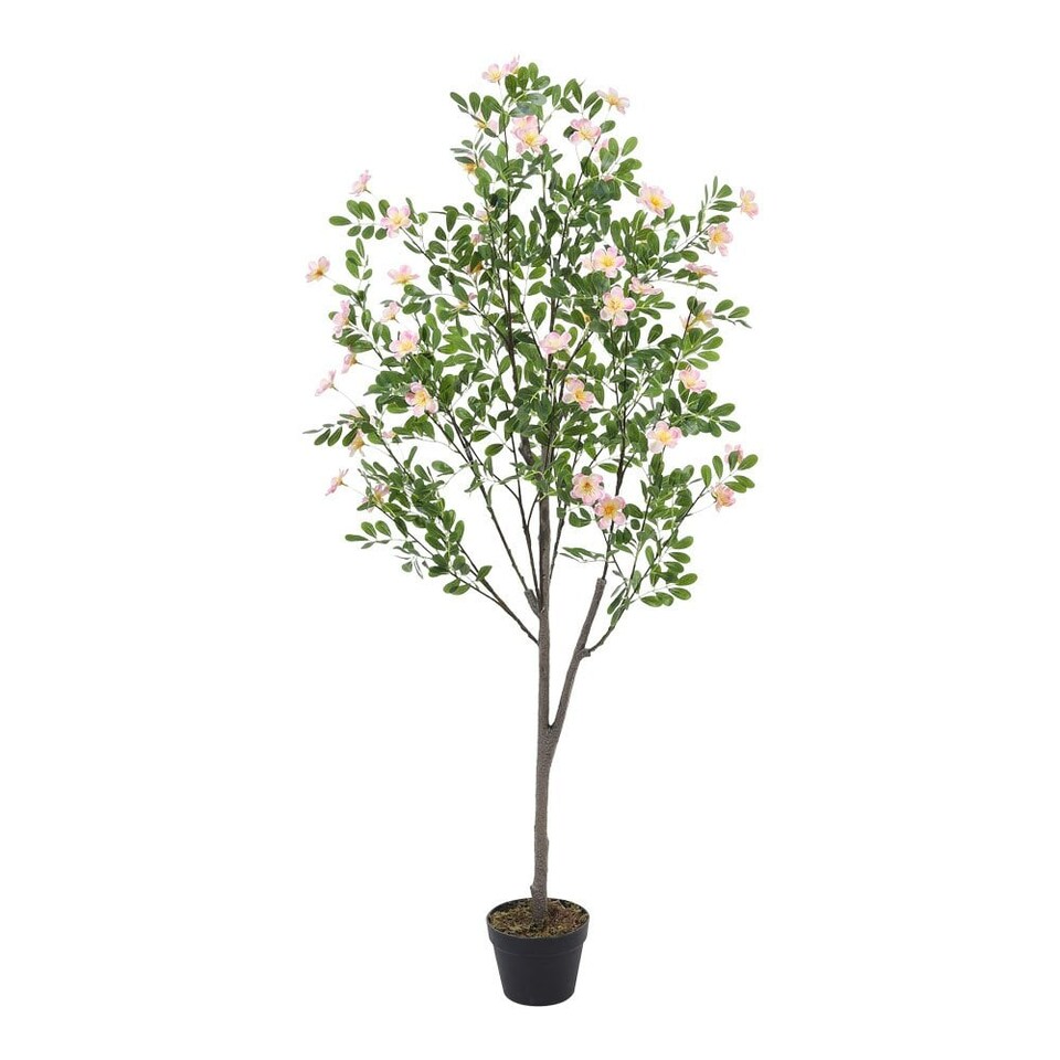 image 1 of Living and Home Artificial Frangipani Blossom Tree in Pot - 160cm