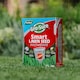 image 7 of GroSure Smart Lawn Seed Fast Start  Aqua Gel Coated, Germinates 40sqm
