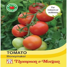 Tomato Moneymaker 1 Seed Packet (50 Seeds)