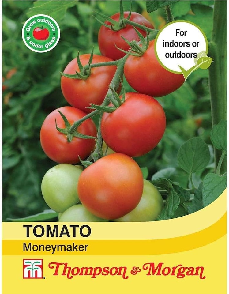 Tomato Moneymaker 1 Seed Packet (50 Seeds)