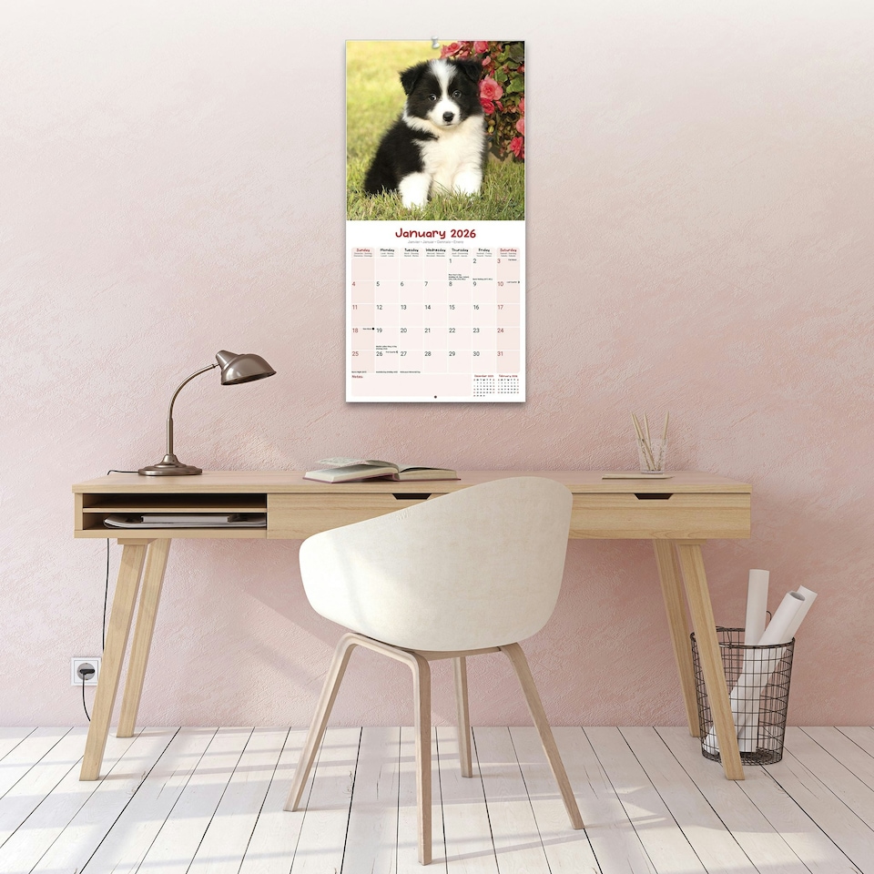 image 1 of Puppies 2026 Calendar | Square Wall Calendar | Dog Breed Gift | Plastic Free Packaging | by Avonside Publishing