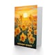 image 2 of Wishes Daffodil Flower Field Sunset For Her Birthday Card