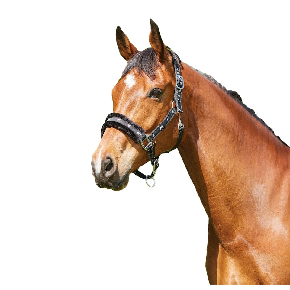 Saxon Fleece Lined Ribbon Headcollar - Black/Black - Pony