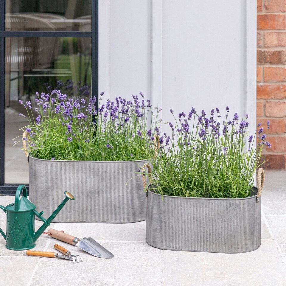 image 1 of Outdoor Galvanised Rope Handle Trough Set of Two