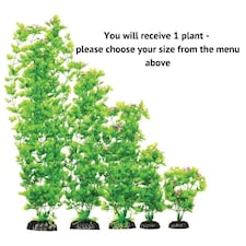 Aquarium Ornament Ranunculus Tall Plant - 13cm