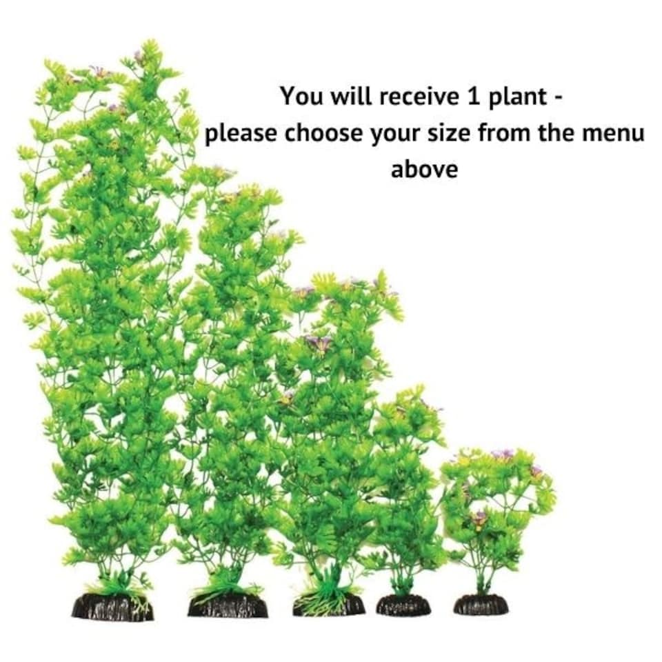 Aquarium Ornament Ranunculus Tall Plant - 13cm