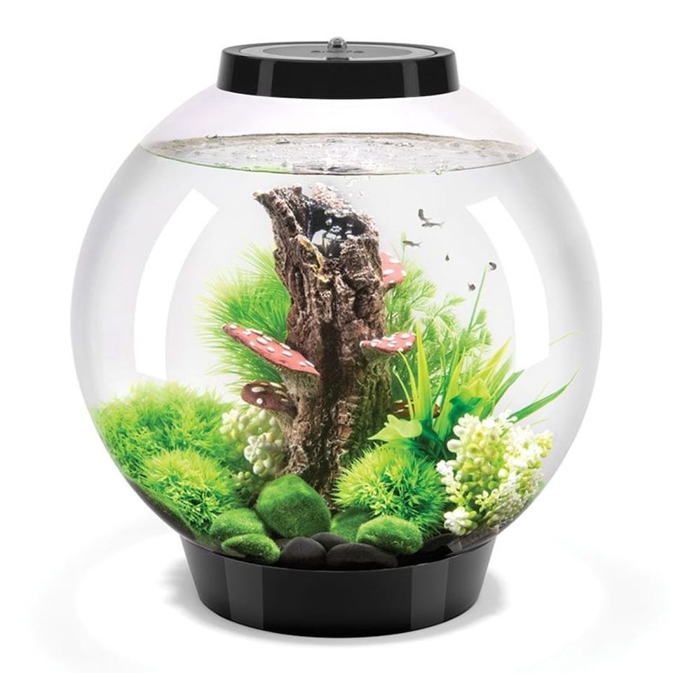 image 1 of BiOrb Classic 30L Aquarium Fish Tank in Black with MCR LED Lighting