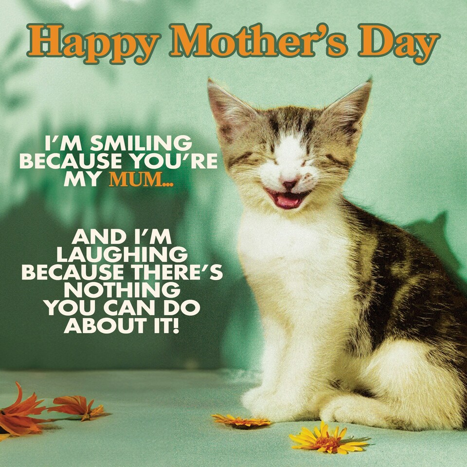 image 1 of I'm Smiling Because You're My Mum... - Funny Mother's Day Card