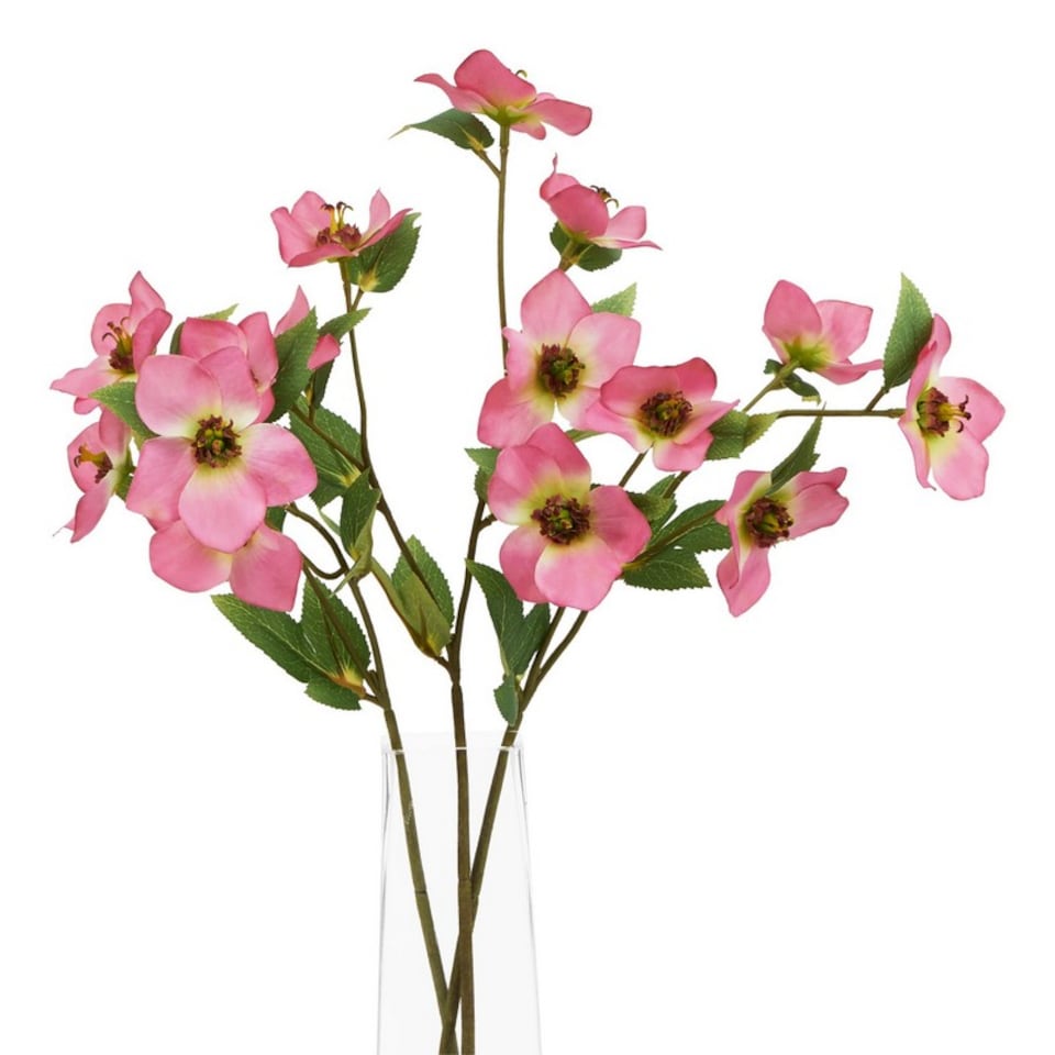 image 1 of The Natural Garden Collection Varigated Hellibore - Artificial Flower (Single Stem) - Plastic - H47 cm - Pink