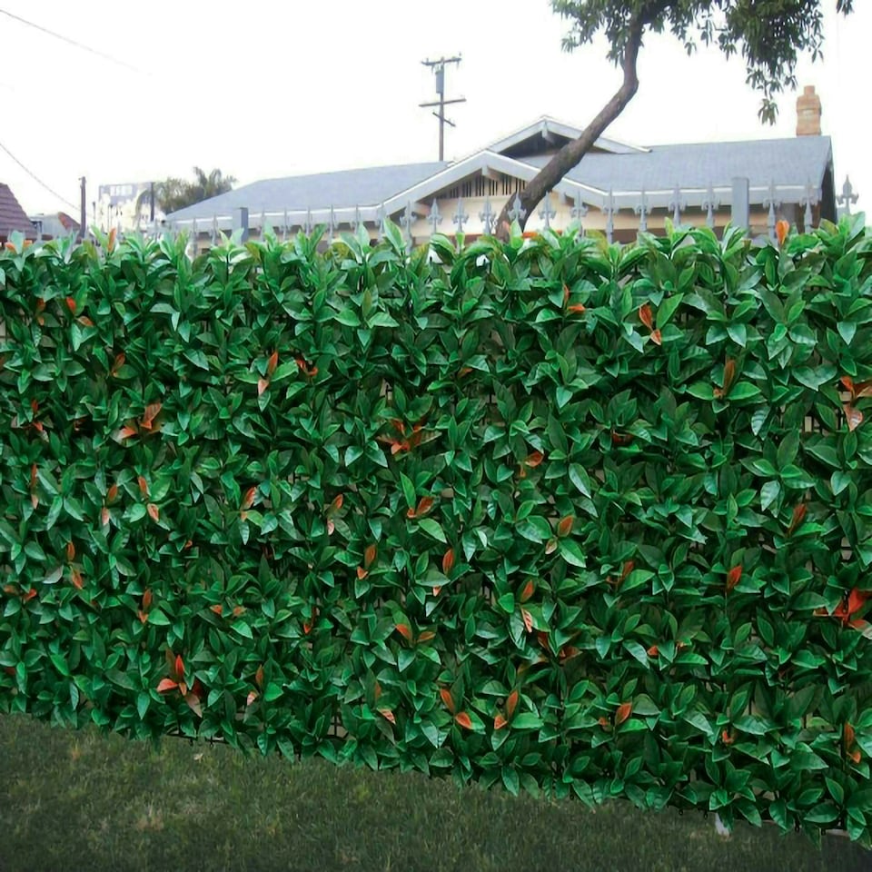 image 1 of Primrose American Beech Artificial Patio Hedge Panels 50cm x 50cm Set of 16