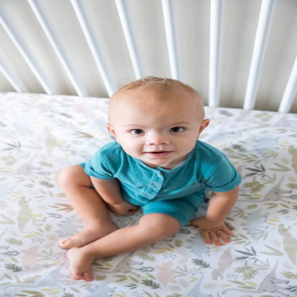 image 1 of Copper Pearl Premium Elasticised Cot Sheet Rex