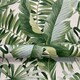 image 2 of Fine Decor A-Street Palm Leaf Wallpaper - Green/Cream - 32.1ft x 21in Green