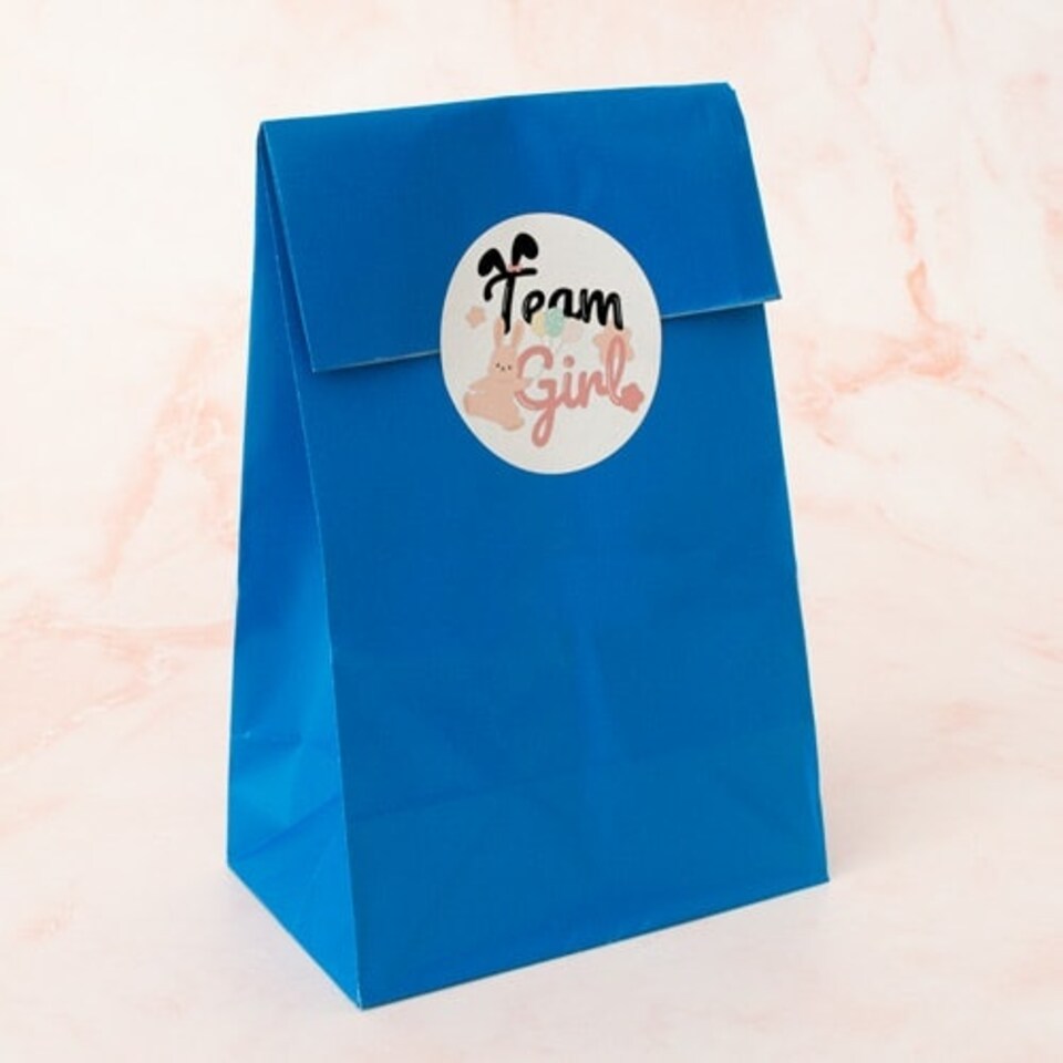 image 1 of Team Girl Bunny Gender Reveal Round Stickers 60mm - Sheet of 12