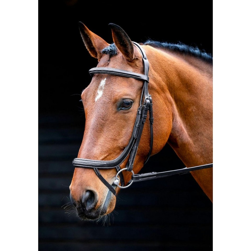 image 1 of Salisbury Buckingham Leather Horse Bridle - Black - Cob