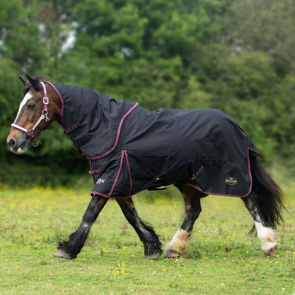 image 1 of Gallop Equestrian Trojan Dual 50G Turnout Set Black | Size: 6ft 9
Colour: Black
