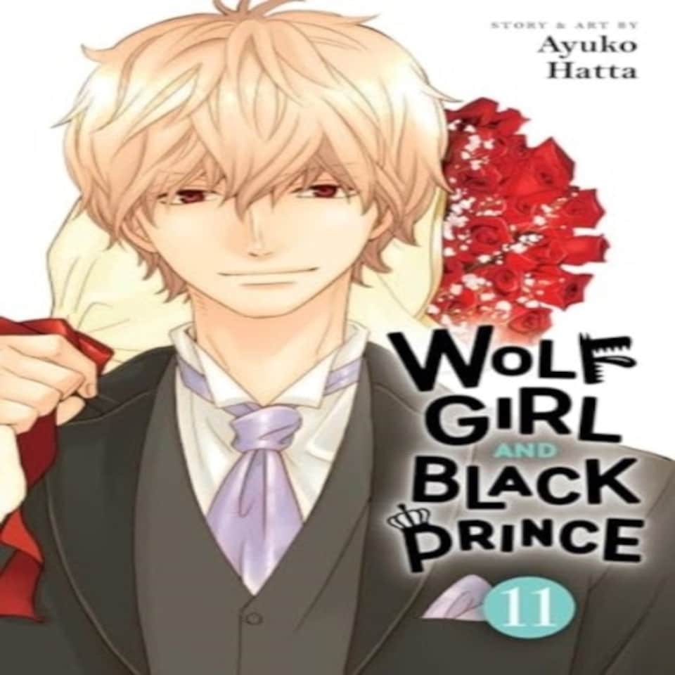 Wolf Girl And Black Prince Vol. 11