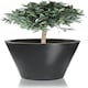 image 3 of Primrose Polystone Calgary Black Tall Indoor Outdoor Garden Planter 89cm