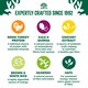 image 4 of James Wellbeloved Superfoods Adult Dry Dog Food Turkey with Kale & Quinoa 4.5kg