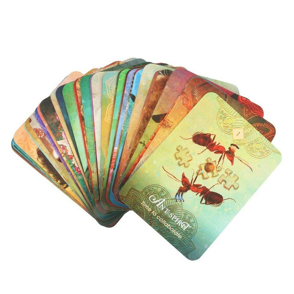 image 1 of Colette Baron-Reid The Spirit Animal Pocket Oracle Cards - Multicoloured - One Size