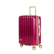 Fergana 24 Inch Cabin Carry On Polycarbonate Hard Shell Suitcase Lightweight Spinner Luggage TSA Lock Purple
