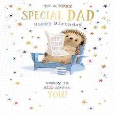 Words 'n' Wishes Traditional Dad Birthday Card, Very Special Dad, Hedgehog and Stars Design, Special Finishes and Illustrated Insert Leaf,