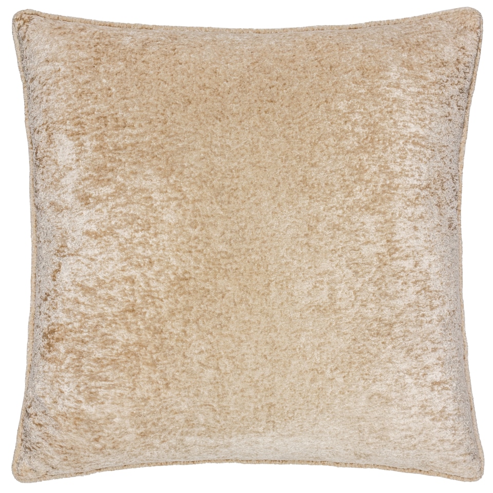 image 1 of Paoletti Lustre Velvet Cushion | Cream | Champagne