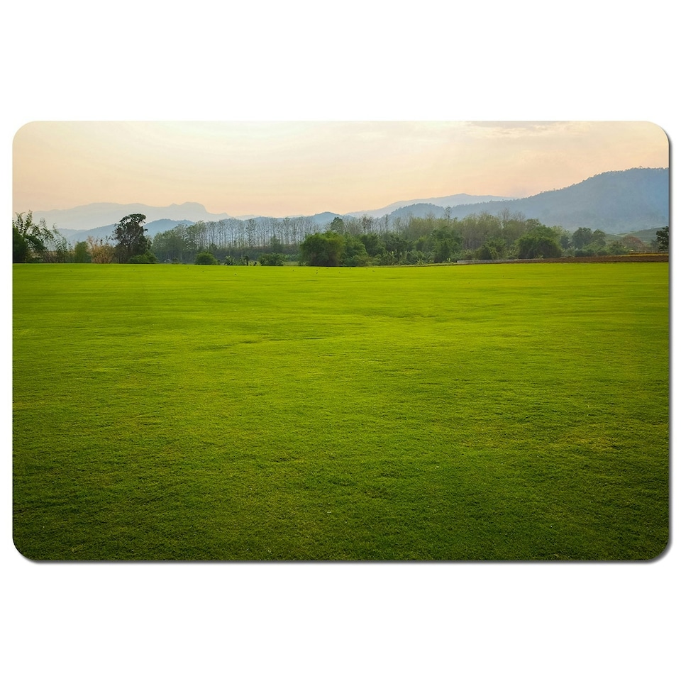 Background image of lush grass field (Placemat)