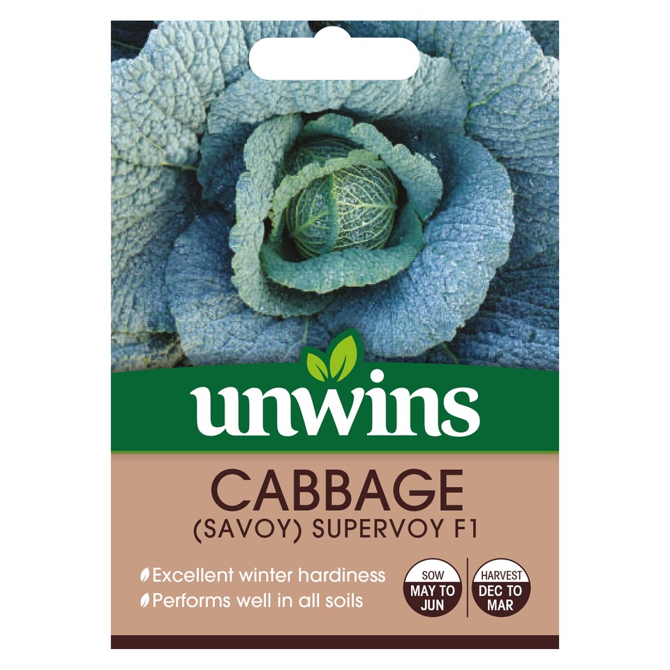 image 1 of Cabbage (Savoy) Supervoy F1