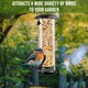 image 6 of Medium Outdoor Garden Hanging Metal Wild Bird Seed Feeder