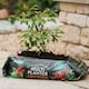 image 1 of Westland Peat Free Multi-Planter Medium 40 Litre