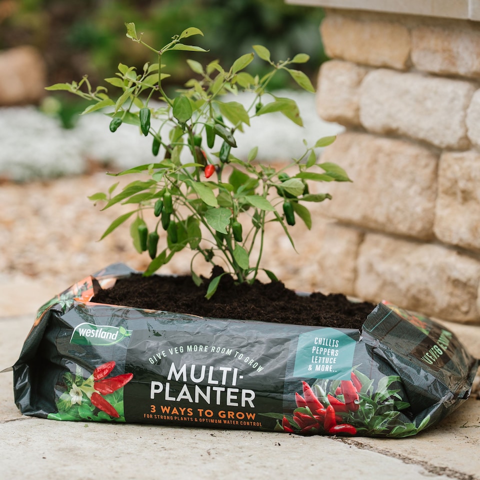 image 1 of Westland Peat Free Multi-Planter Medium 40 Litre