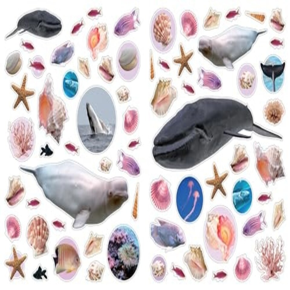image 1 of Eyelike Stickers Ocean New - 18D Kids Activity & Sticker - PAPERBACK - 9780761169376