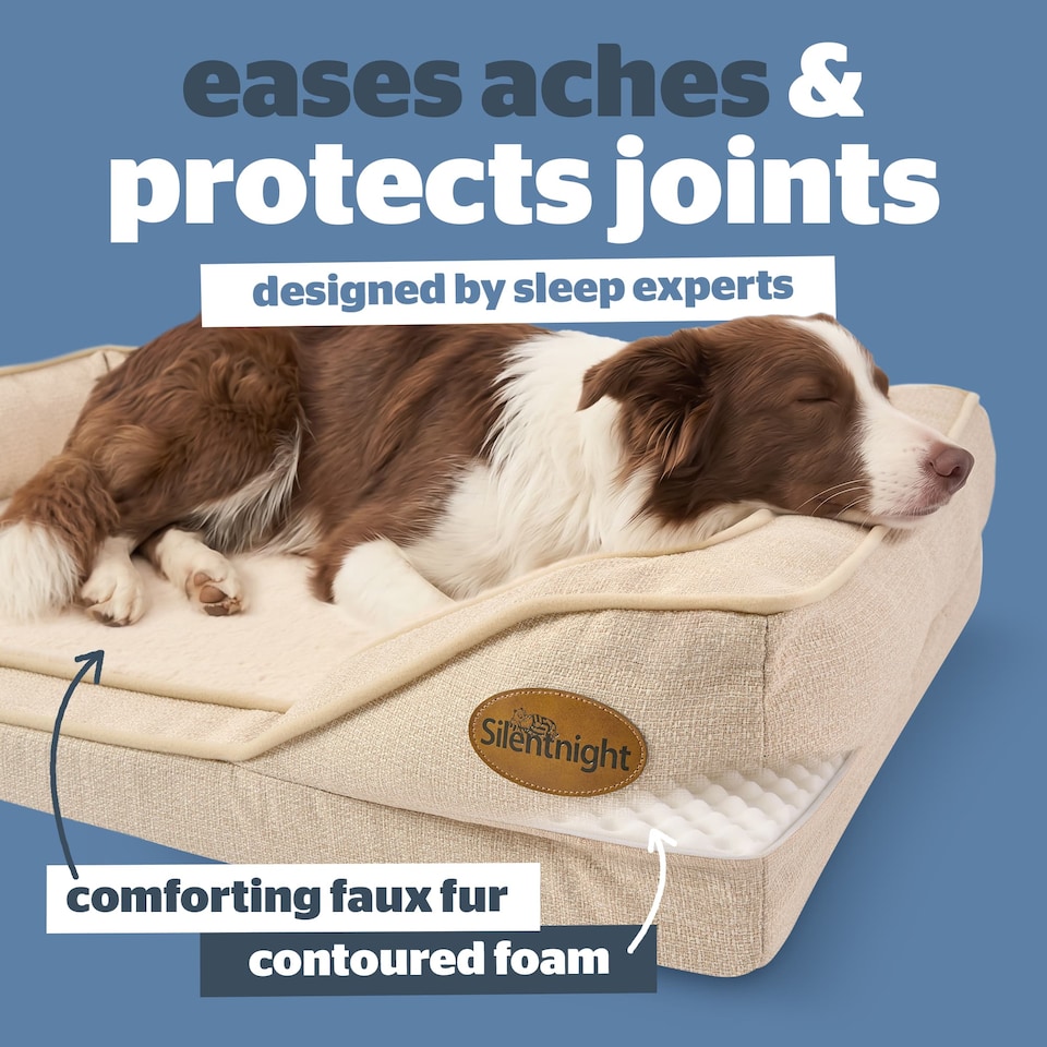 image 1 of Silentnight Orthopaedic Pet Bed