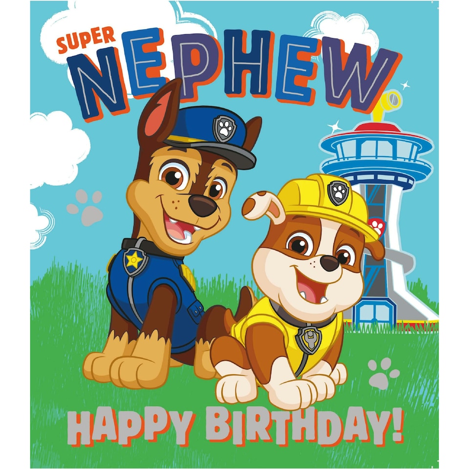 image 1 of Paw Patrol 'Nephew' Birthday Card