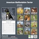 image 2 of American Staffordshire Terrier 2026 Calendar | Square Wall Calendar | Dog Breed Gift | Plastic Free Packaging | by Avonside Publishing
